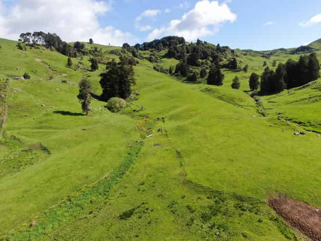 Lot (Rural1246 State Highway 3, Piopio