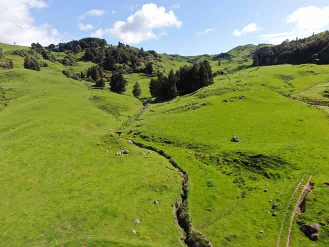 Lot (Rural1246 State Highway 3, Piopio