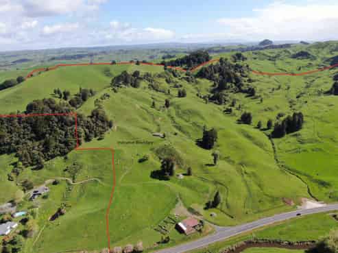 Lot (Rural), 1246 State Highway 3, Piopio