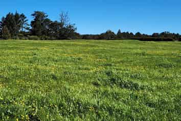 Lot 1,2,3,699 Durham Road Upper, Norfolk