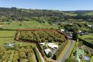 22 Gill Lane, Whakamarama, Western Bay Of Plenty, Bay of Plenty