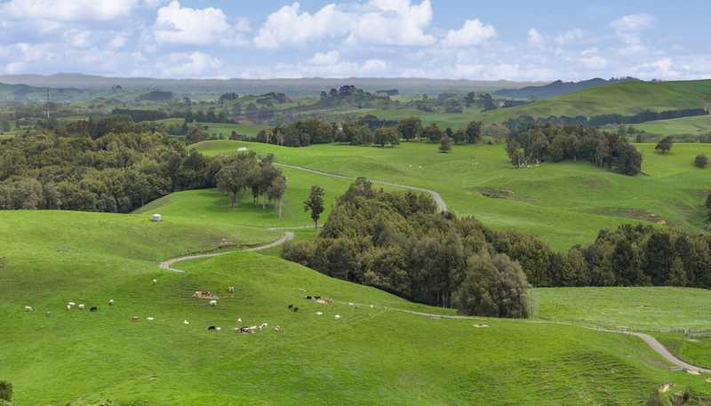 6 Kentucky Road, Karapiro