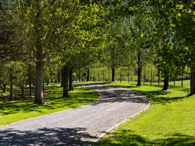  Mount Algidus Station, Lake Coleridge