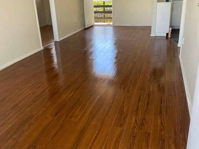 5/53 Grange Road, Mount Eden