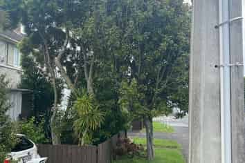 812 Dominion Road, Mount Eden