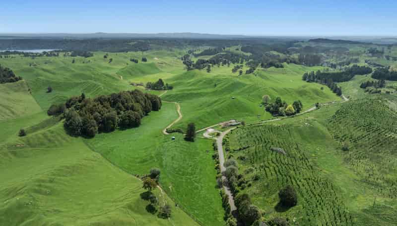 103 Rendall Road, Rotoma