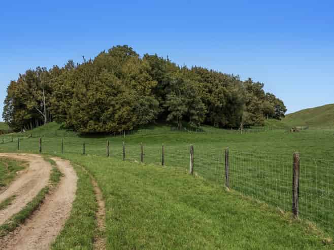 103 Rendall Road, Rotoma