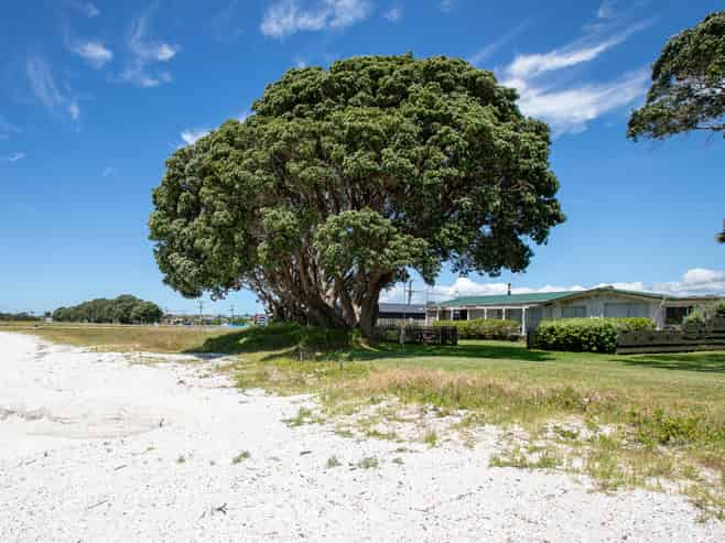 42 One Tree Point Road, One Tree Point