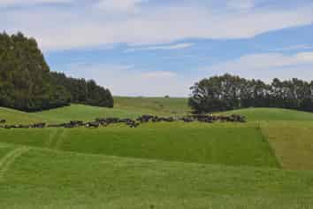 89 Brookstead Road, Ngapara