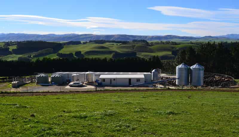 89 Brookstead Road, Ngapara