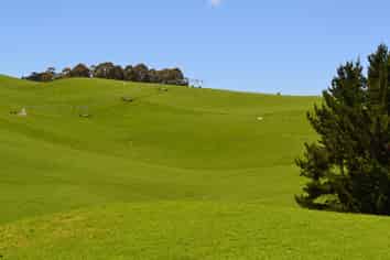 89 Brookstead Road, Ngapara