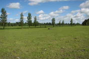 1682B Te Aroha-Gordon Road, Te Aroha