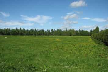 1682B Te Aroha-Gordon Road, Te Aroha