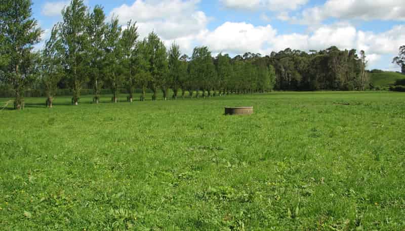 1682B Te Aroha-Gordon Road, Te Aroha