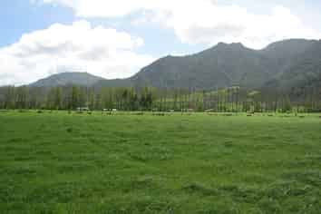 1704 Te Aroha-Gordon Road, Te Aroha