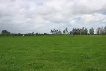 1704 Te Aroha-Gordon Road, Te Aroha