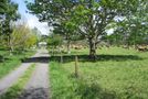 1704 Te Aroha-gordon Road, Gordon, Matamata-Piako, Waikato