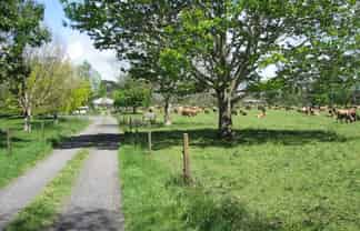 1704 Te Aroha-Gordon Road, Te Aroha