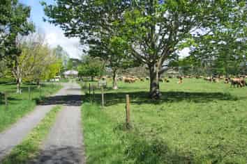 1704 Te Aroha-Gordon Road, Te Aroha