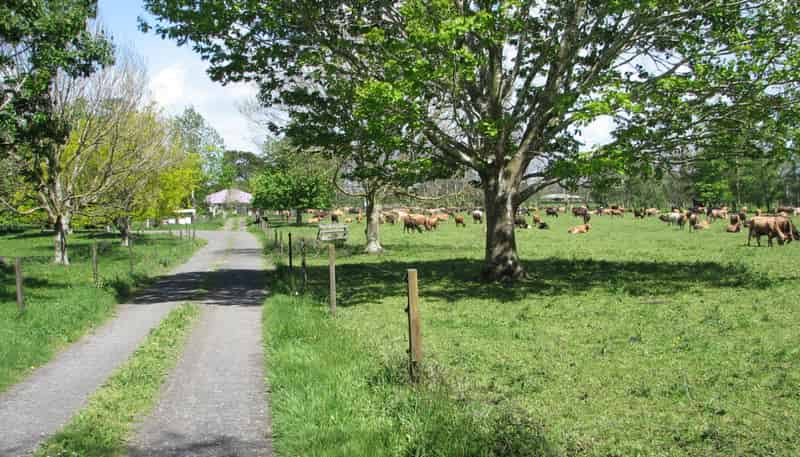 1704 Te Aroha-Gordon Road, Te Aroha