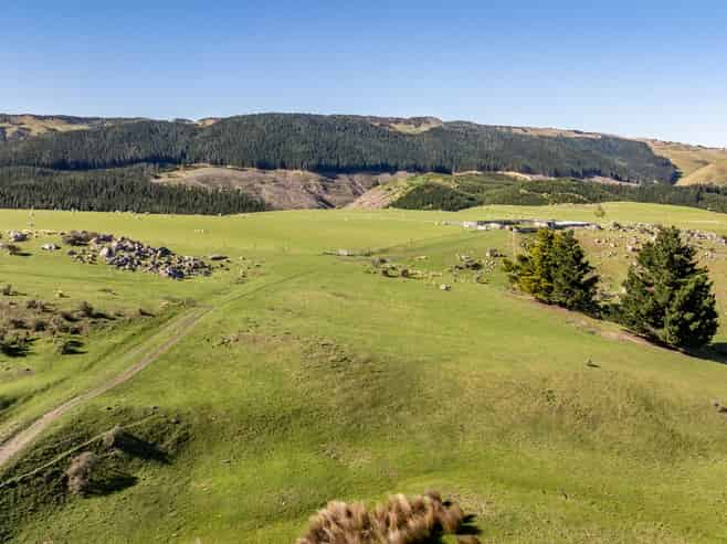 614 Omihi Road, Omihi