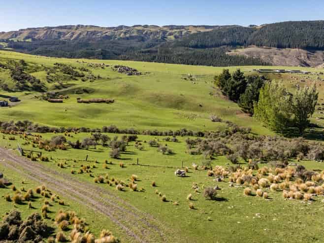 614 Omihi Road, Omihi