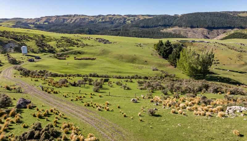 614 Omihi Road, Omihi