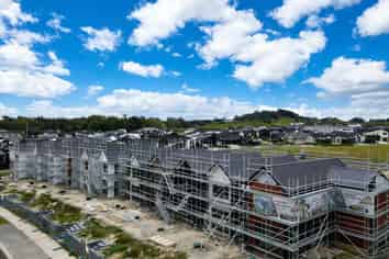 66 Dendro Ring Road, Milldale