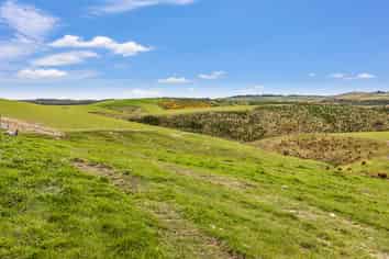 655 Rankleburn Road, Tapanui