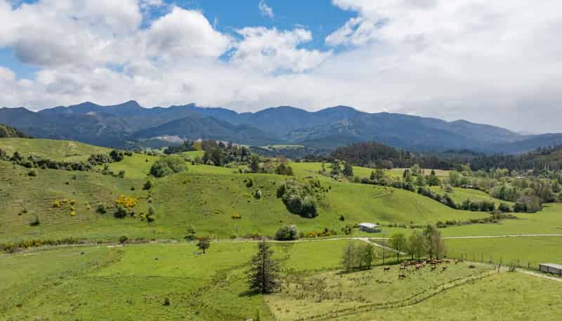 98 Thorpe-Orinoco Road, Ngatimoti