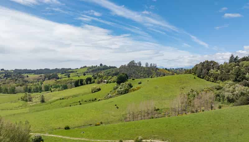 98 Thorpe-Orinoco Road, Ngatimoti