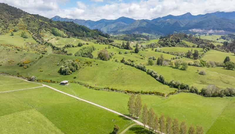 98 Thorpe-Orinoco Road, Ngatimoti