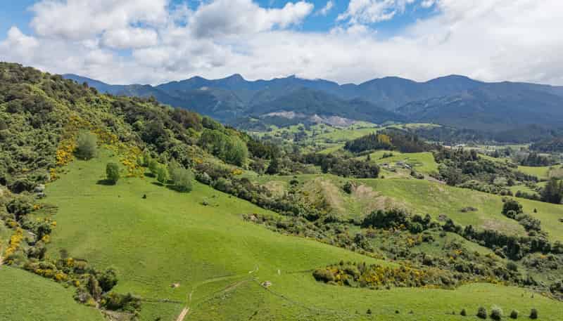 98 Thorpe-Orinoco Road, Ngatimoti