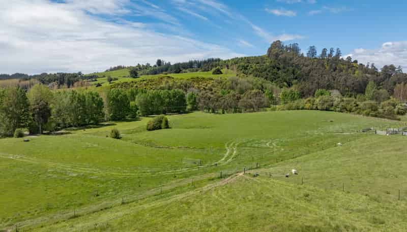 98 Thorpe-Orinoco Road, Ngatimoti