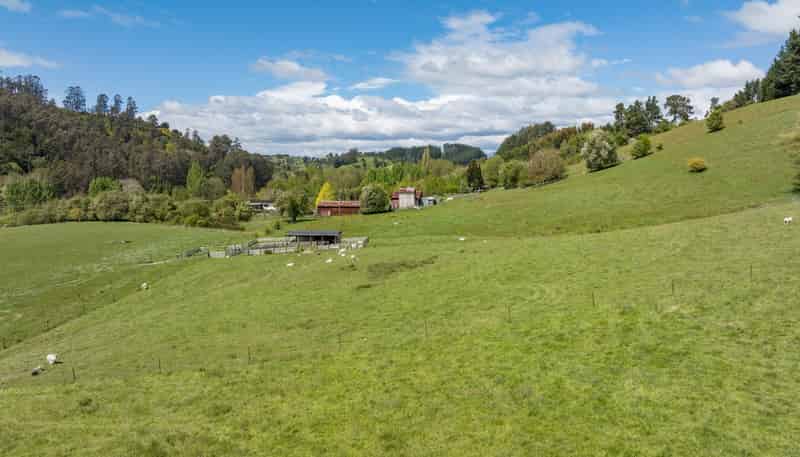 98 Thorpe-Orinoco Road, Ngatimoti