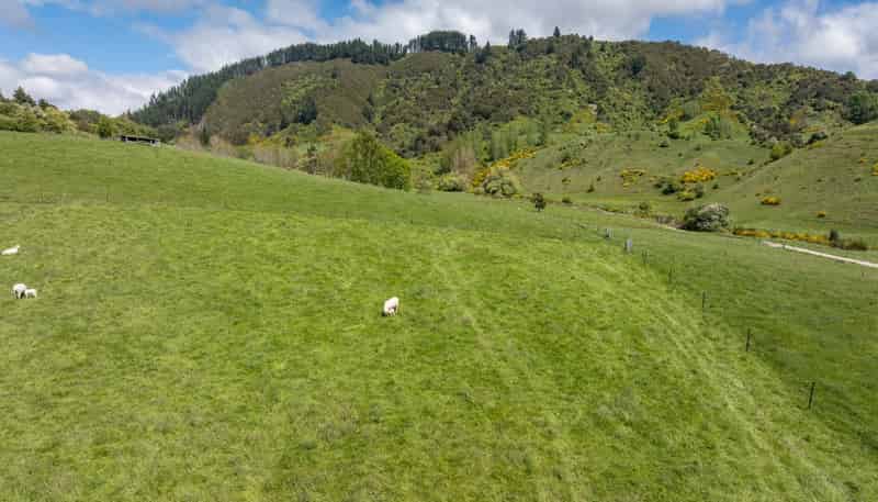 98 Thorpe-Orinoco Road, Ngatimoti