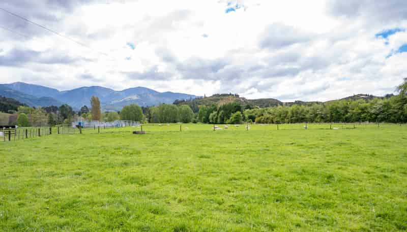 98 Thorpe-Orinoco Road, Ngatimoti