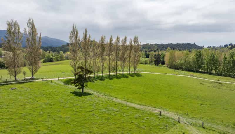 98 Thorpe-Orinoco Road, Ngatimoti