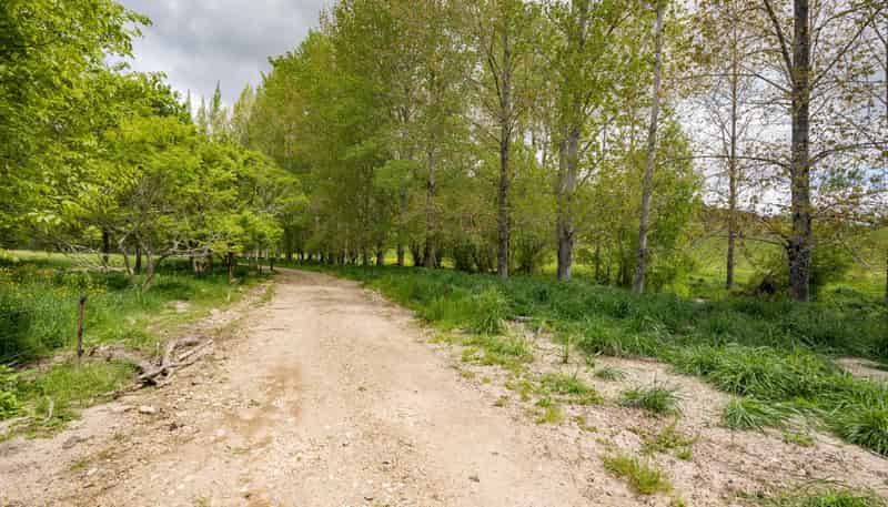 98 Thorpe-Orinoco Road, Ngatimoti