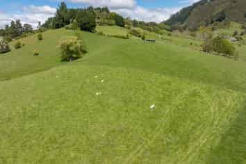 98 Thorpe-Orinoco Road, Ngatimoti