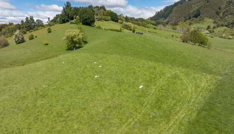 98 Thorpe-Orinoco Road, Ngatimoti