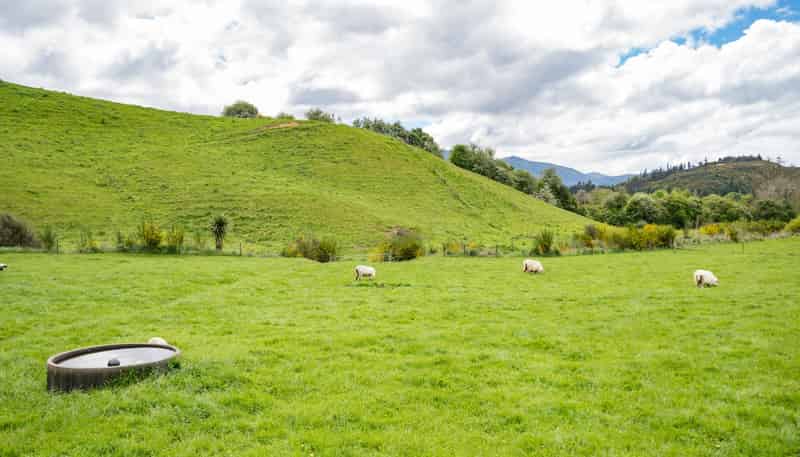98 Thorpe-Orinoco Road, Ngatimoti