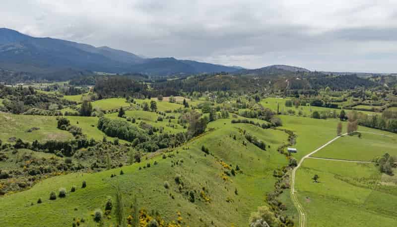 98 Thorpe-Orinoco Road, Ngatimoti