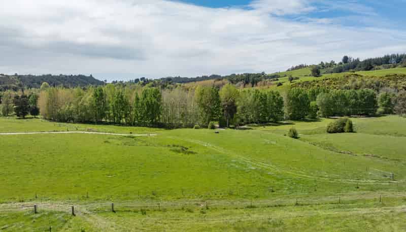 98 Thorpe-Orinoco Road, Ngatimoti