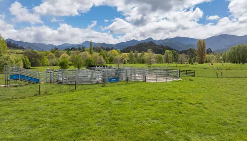 98 Thorpe-Orinoco Road, Ngatimoti