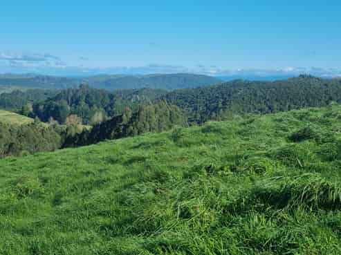 111 Otake Road, Marotiri