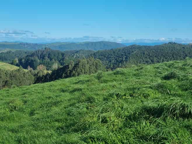 111 Otake Road, Marotiri