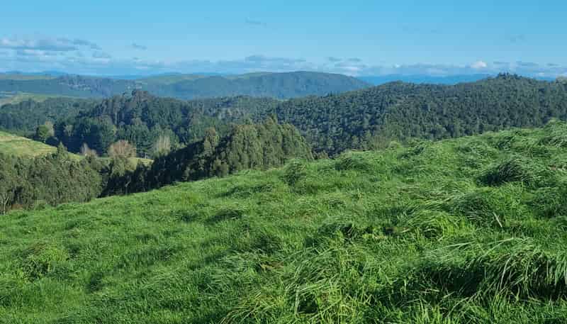 111 Otake Road, Marotiri