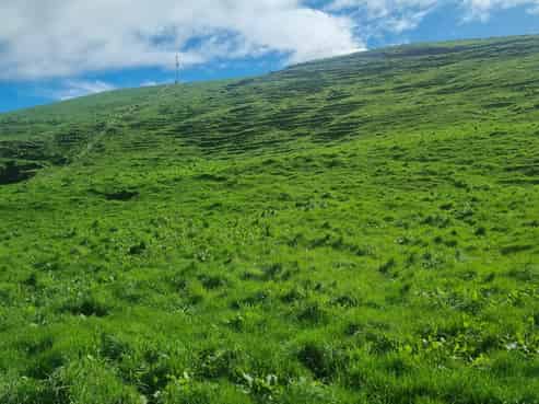 111 Otake Road, Marotiri