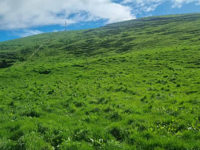 111 Otake Road, Marotiri